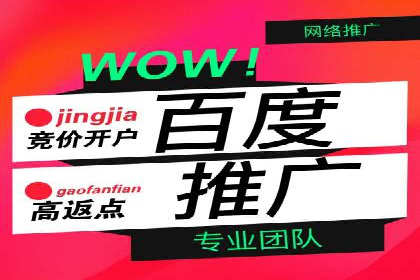 百度竞价公司与品牌合作：双赢的案例分析